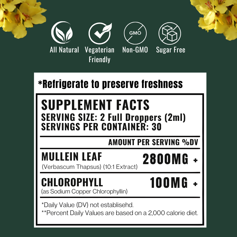 Mullein & Chlorophyll Extract